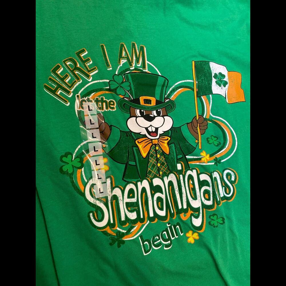 Buc-ees bucees st Patrick’s Irish Ireland green large t-shirt new